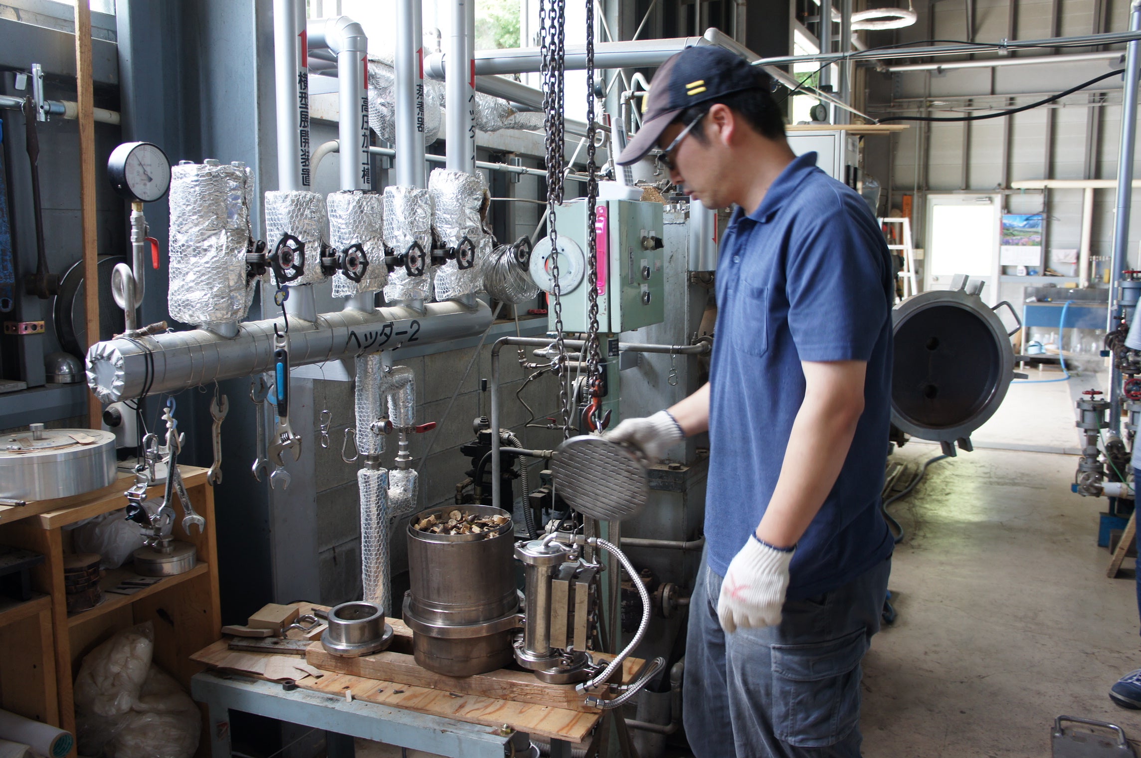 エッセンシャルオイル デスクリファレンス ヤングリビング エッセンシャルオイル デスクリファレンス 第6版